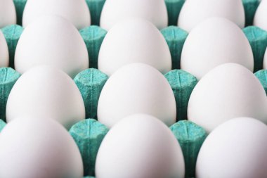 Mavi karton kutu içinde beyaz yumurta