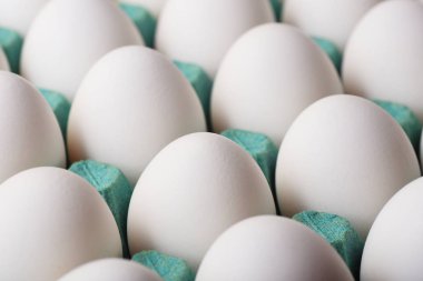 Mavi karton kutu içinde beyaz yumurta