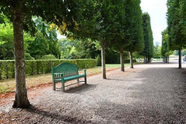 Parc Copaci Ordonați Rambouillet Les Yvelines Franța — Fotografie, imagine de stoc