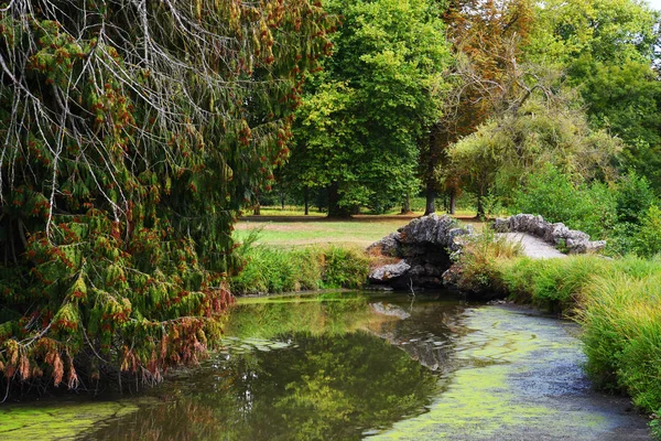 Bosque Con Pequeño Río Puente — Foto de Stock