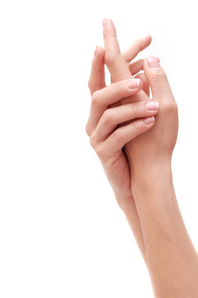 Belas Mãos Femininas Com Manicure Francês — Fotografia de Stock