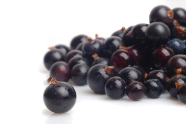 kırmızı ve siyah frenk üzümü