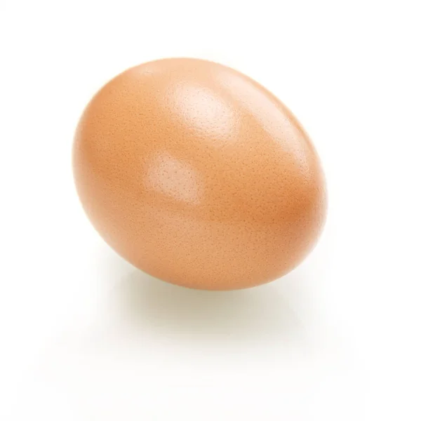 Single Brown Chicken Egg — Stock Photo, Image