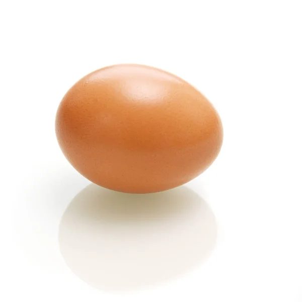 Single Brown Chicken Egg — Stock Photo, Image