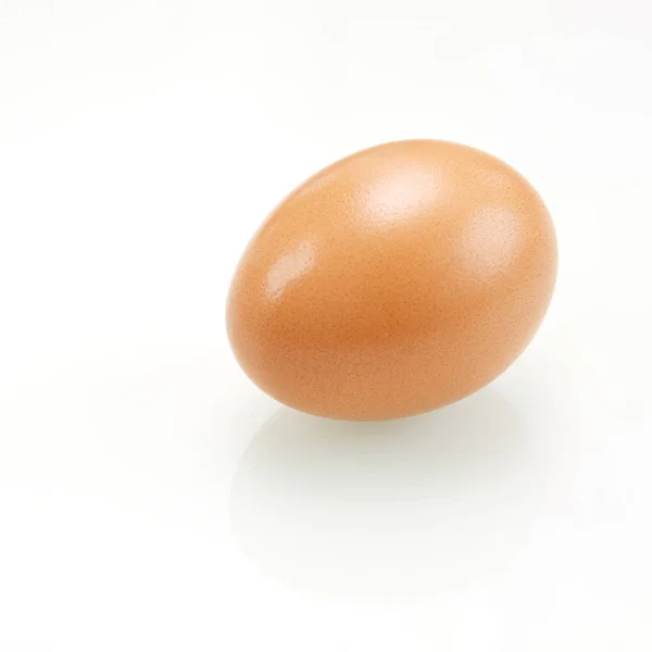 Single Brown Chicken Egg — Stock Photo, Image