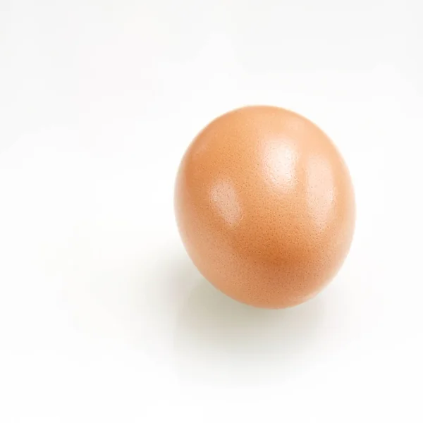 Single Brown Chicken Egg — Stock Photo, Image