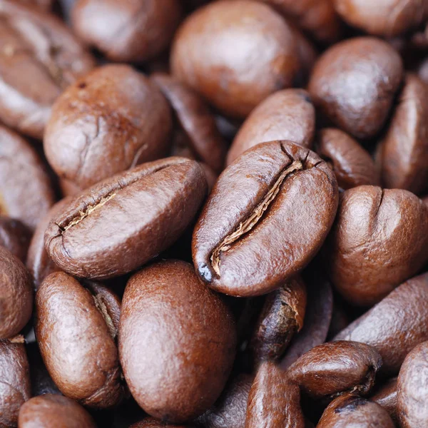 Kaffebönor Makro Textur — Gratis stockfoto
