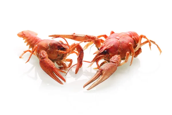在白色背景查出的二条红色煮小龙虾 — 图库照片