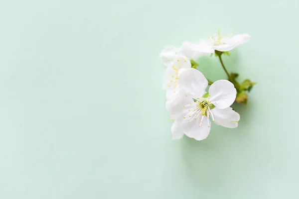 無料 花 画像と動画 Depositphotosでダウンロード