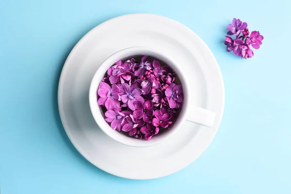 Bright Lilac Flowers Cup Plate — Stock Photo, Image