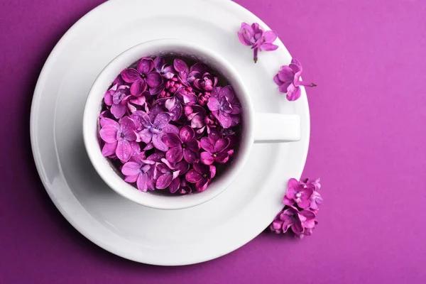 Ragyogó Lila Virágok Csészén Tányér — Stock Fotó