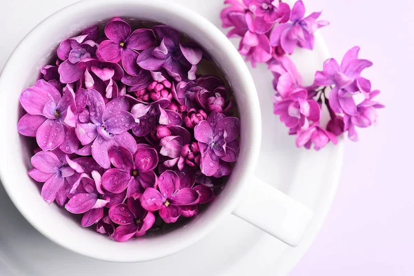 Bright Lilac Flowers Cup Plate — Stock Photo, Image