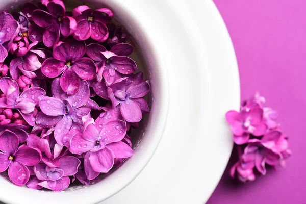 Flores Color Lila Brillante Taza Con Plato — Foto de Stock