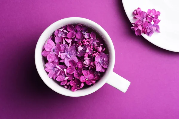 Яскраві Бузкові Квіти Чашці Тарілкою — стокове фото