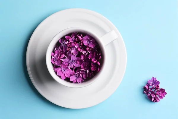 Bright Lilac Flowers Cup Plate — Stock Photo, Image