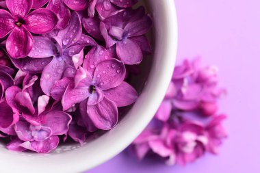 Beyaz bardakparlak leylak çiçekleri