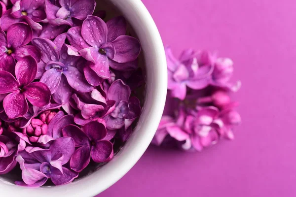 Bright Lilac Flowers White Cup — Stock Photo, Image