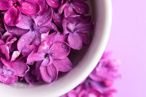 Bright Lilac Flowers White Cup — Free Stock Photo