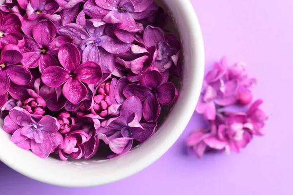 Bright Lilac Flowers White Cup — Stock Photo, Image