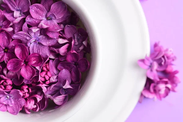 Bright Lilac Flowers Cup Plate — Free Stock Photo