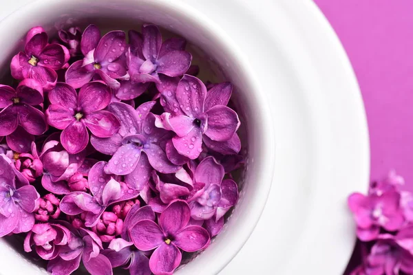 Bright Lilac Flowers Cup Plate — Stock Photo, Image