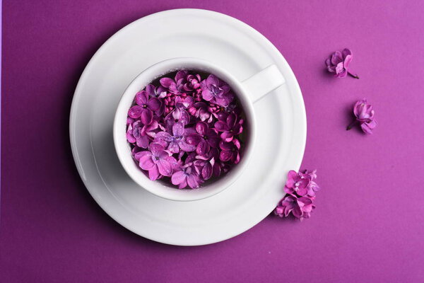 Bright lilac flowers in cup with plate — Stock Image Bright Lilac Flowers Cup Plate Royalty Free Stock Photos