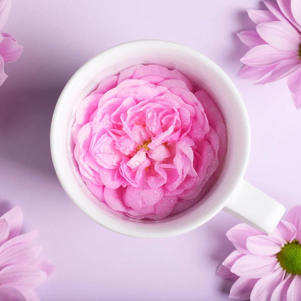 Luminosi Fiori Rosa Tazza Con Piatto — Foto Stock