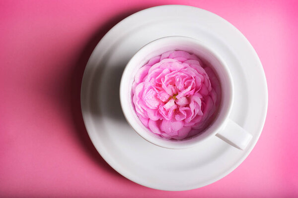 Bright pink flowers in cup with plate — Stock Image Bright Pink Flowers Cup Plate Royalty Free Stock Photos