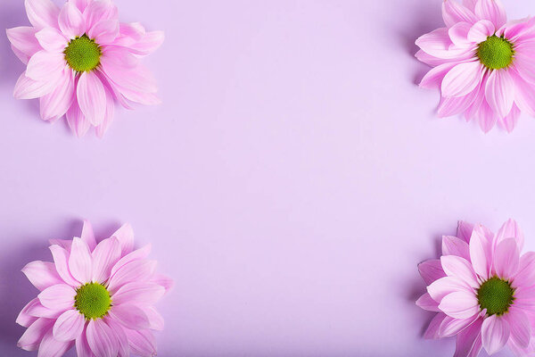 Delicate pink flowers on background with copy space — Stock Image Delicate Pink Flowers Background Copy Space Royalty Free Stock Photos