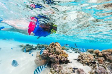 Kadının şnorkelle dalış ve serbest dalış yaparken çekilmiş sualtı fotoğrafı. Mercan resifinde berrak bir tropikal suya.