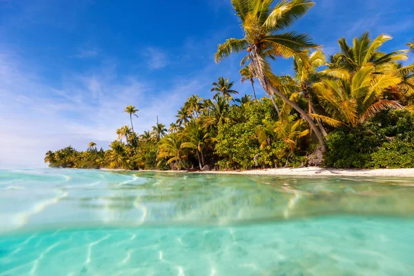 Prachtig Tropisch Eiland Met Palmbomen Witte Zand Turquoise Oceaanwater Blauwe — Stockfoto