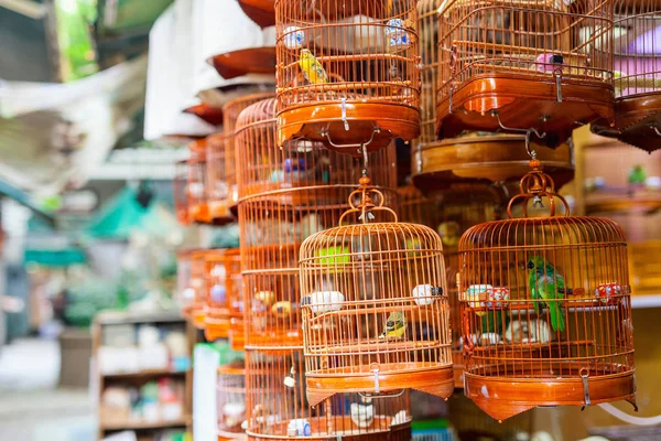 Vögel Käfigen Zum Verkauf Auf Dem Vogelmarkt Dem Beliebten Touristenziel — Stockfoto