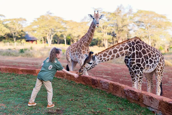 Cute Little Girl Feeding Giraffes Africa — Stock Photo, Image