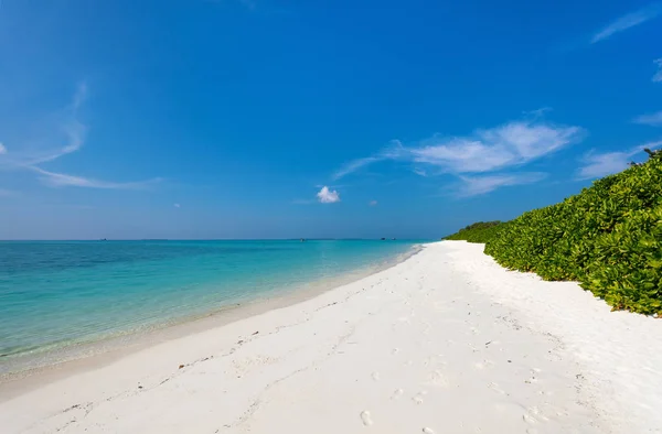 Vacker Tropisk Strand Exotisk Maldiverna — Stockfoto