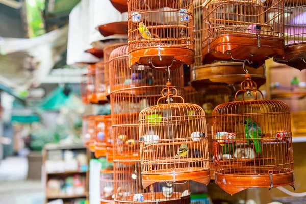 Birds Cages Sale Birds Market Kowloon Hong Kong Popular Tourist — Stock Photo, Image