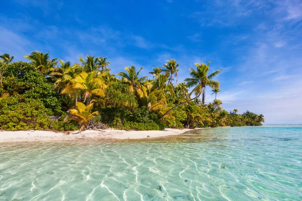 Fantastisk Tropisk Aitutaki Fot Med Palmer Vit Sand Turkost Hav — Stockfoto