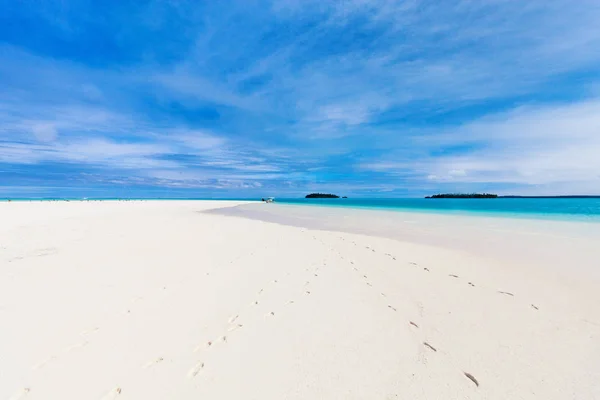 Потрясающая Тропическая Лагуна Экзотические Острова Пальмами Белым Песком Бирюзовой Водой — стоковое фото