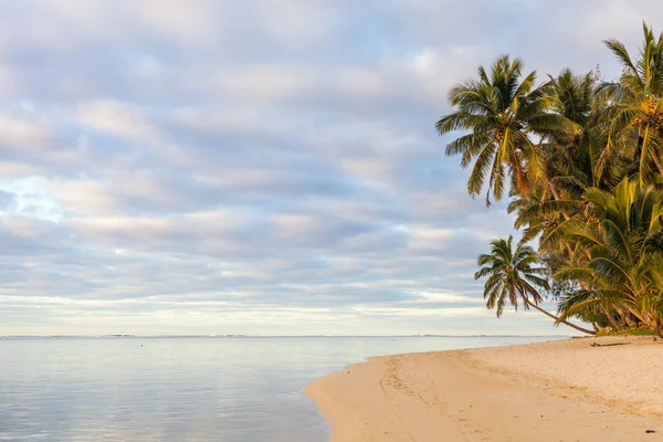 Beautiful Tropical Beach Palm Trees White Sand Turquoise Ocean Water — Stock Photo, Image