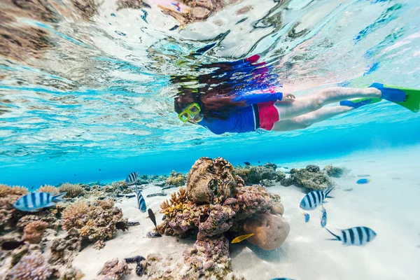 サンゴ礁の澄んだ熱帯水の中での女性のシュノーケリングとフリーダイビングの水中写真 — ストック写真
