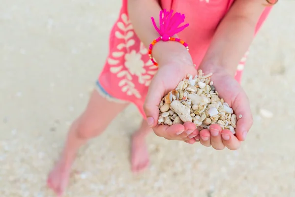 Nahaufnahme Eines Kleinen Mädchens Das Muscheln Den Händen Hält — Stockfoto