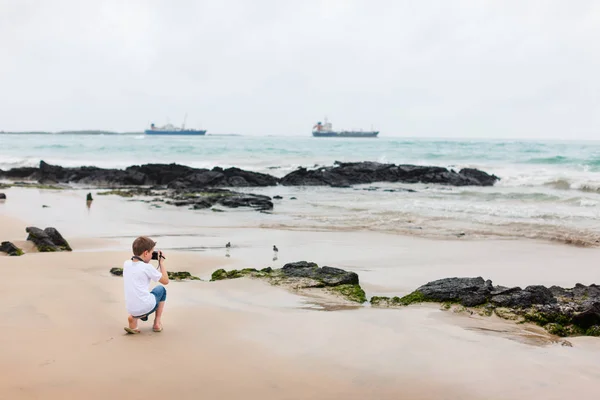 小男孩在海滩与火山熔岩岩层上加拉巴哥群岛 — 图库照片