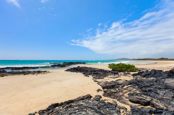 Hermosa Playa Isla Isabela Galápagos Ecuador — Foto de Stock