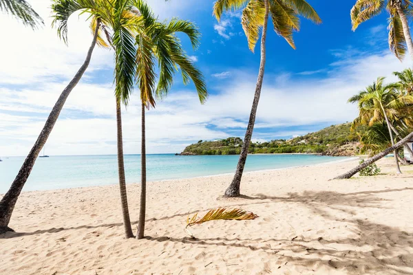 Idyllischer Tropischer Strand Der Carlisle Bay Mit Weißem Sand Türkisfarbenem — Stockfoto