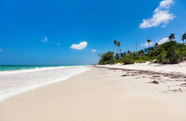 Paisaje Foto Hermosa Playa Exótica Arena Blanca Kenia África —  Fotos de Stock