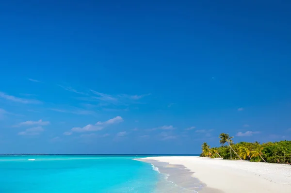 Schöner Tropischer Strand Auf Einer Exotischen Insel Auf Den Malediven — Stockfoto