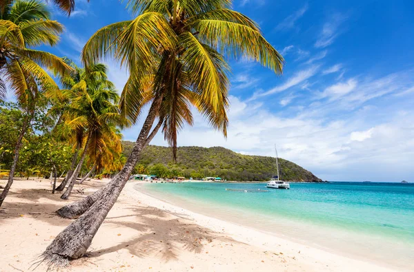 Spiaggia Tropicale Idilliaca Con Sabbia Bianca Palme Acqua Turchese Dei — Foto Stock