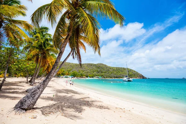 牧歌的なビーチ白い砂浜 ヤシの木とメイルー島セント グレナディーン島のターコイズ ブルーのカリブ海水 — ストック写真