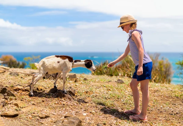 可爱的小女孩喂养山羊在阳光明媚的夏日户外农场 — 图库照片
