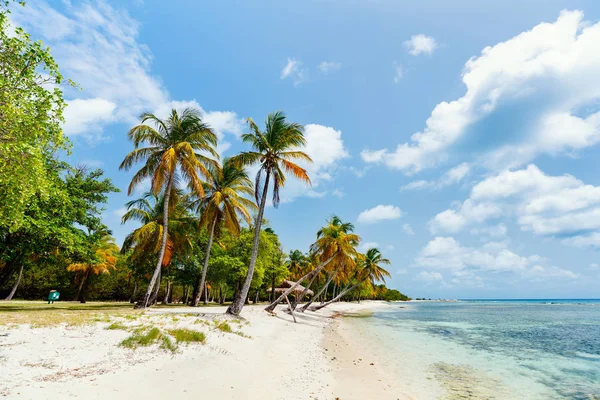牧歌的なビーチ白い砂浜 ヤシの木 マスティク島セント グレナディーンでターコイズ ブルーのカリブ海水 — ストック写真