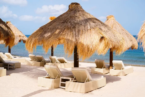Närbild Beach Umprellas Tropical Beach Karibisk — Stockfoto
